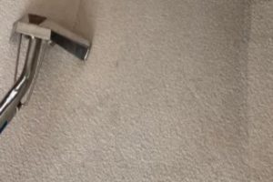 Carpet Cleaning Wiltshire